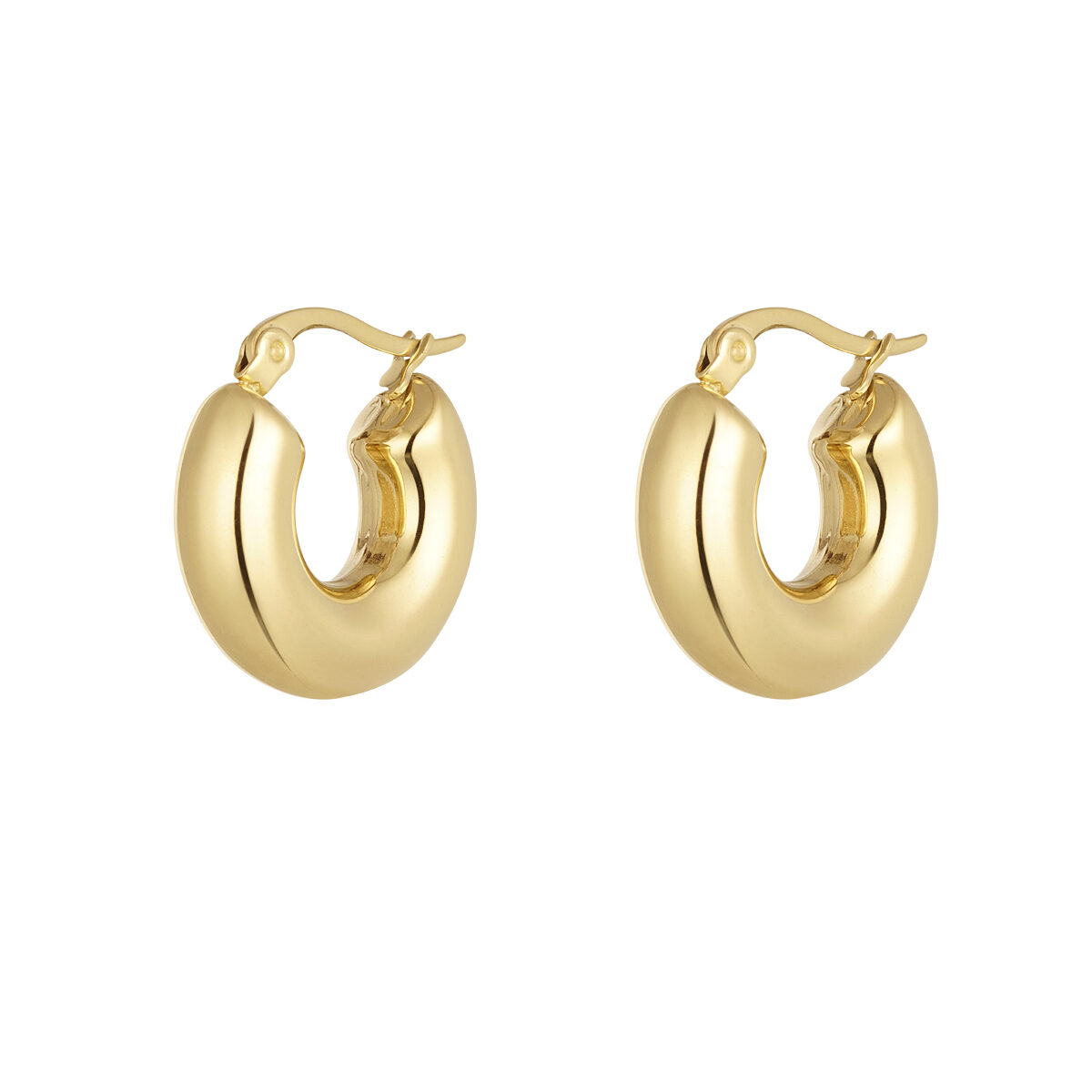 basic ringen oorbellen goud